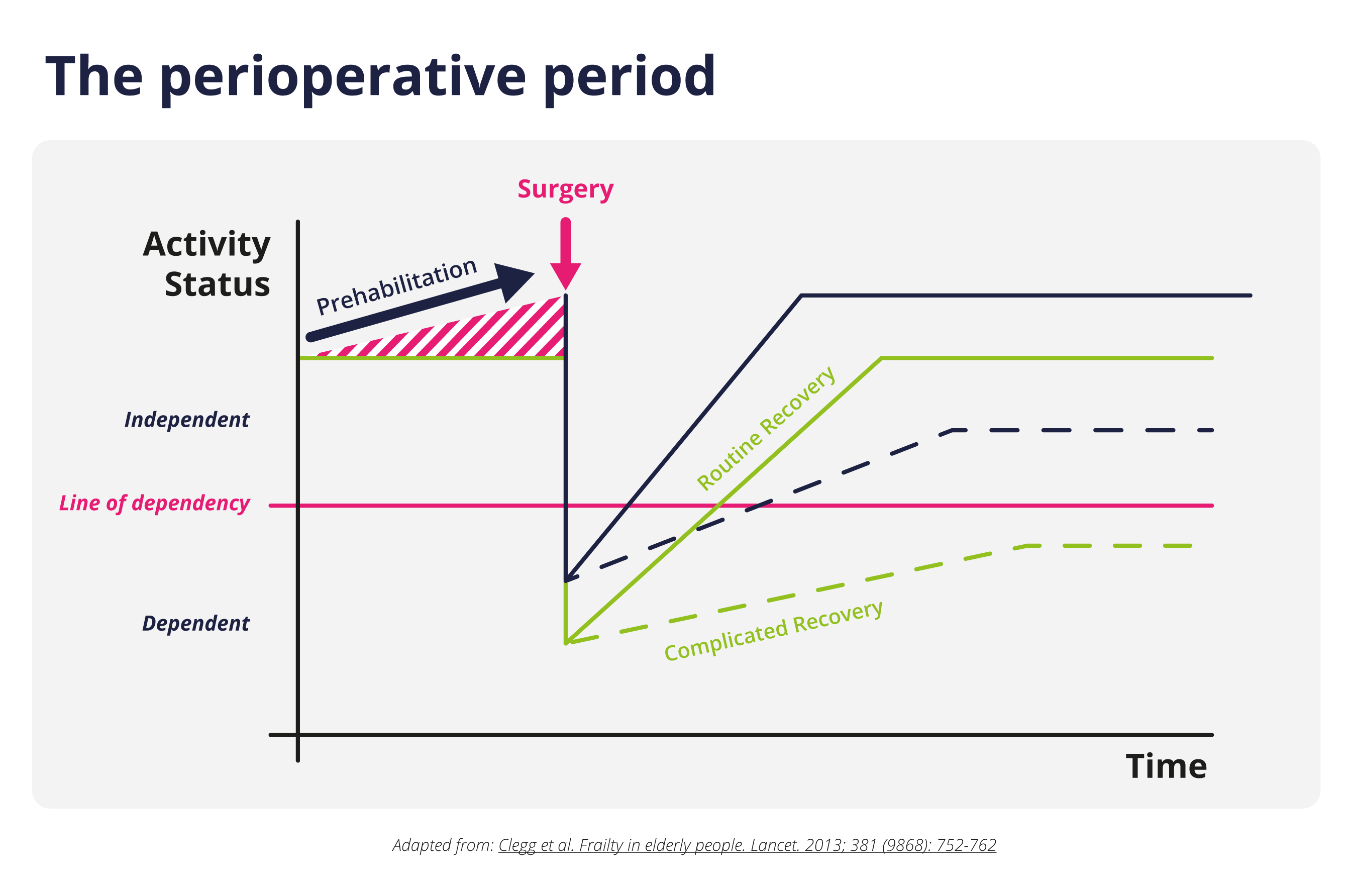 Perioperative Period Graph-01