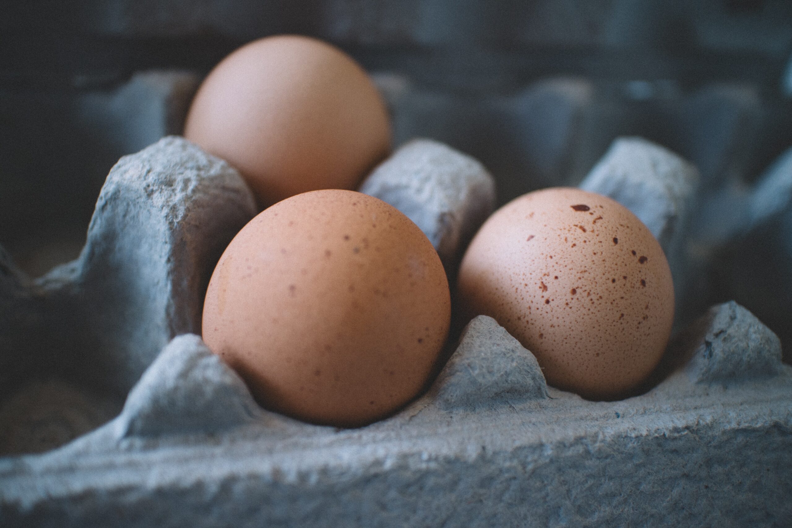 selective-focus-photo-of-three-eggs-on-tray-600615